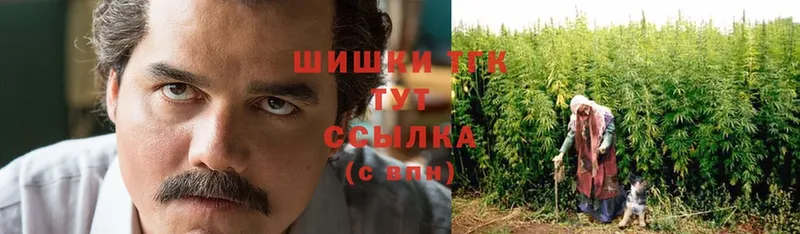 Каннабис THC 21%  ссылка на мегу   Струнино 